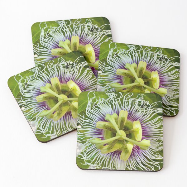 Item preview, Passion Flower designed and sold by FernOlive.