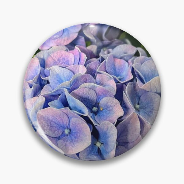 Item preview, Hydrangeas  designed and sold by Taraspics.