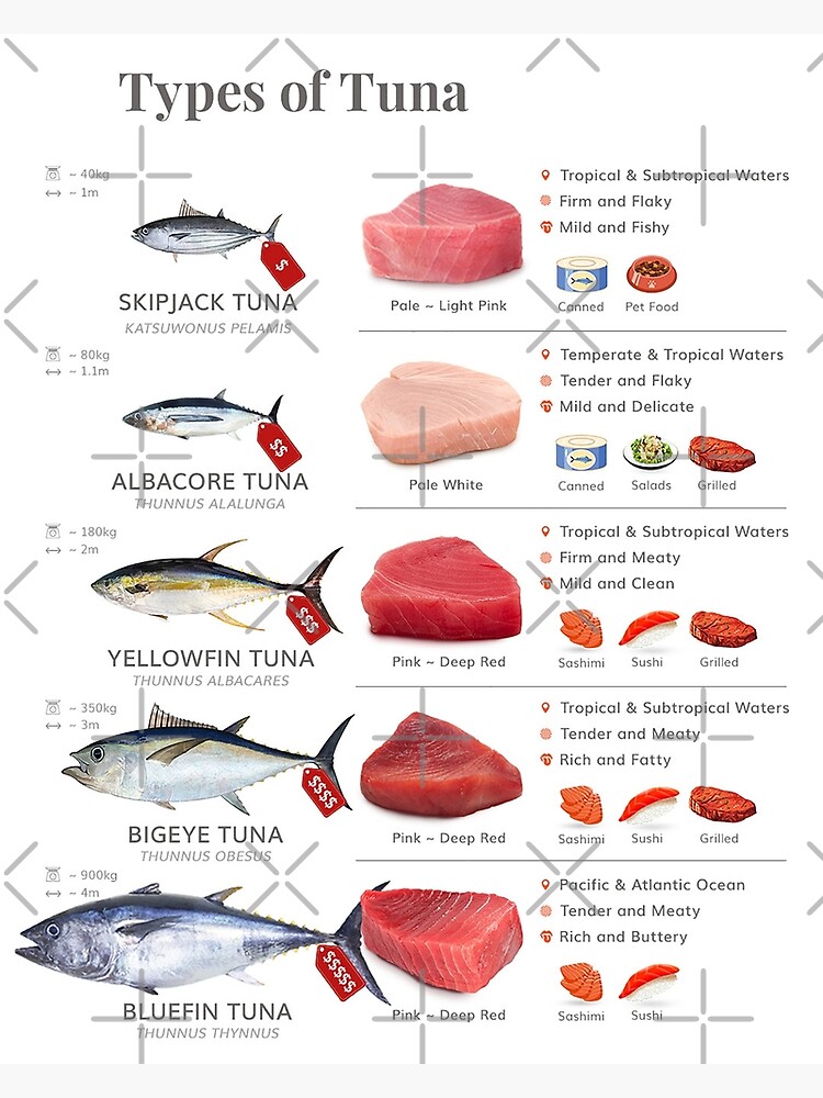 Types of Tuna Greeting Card