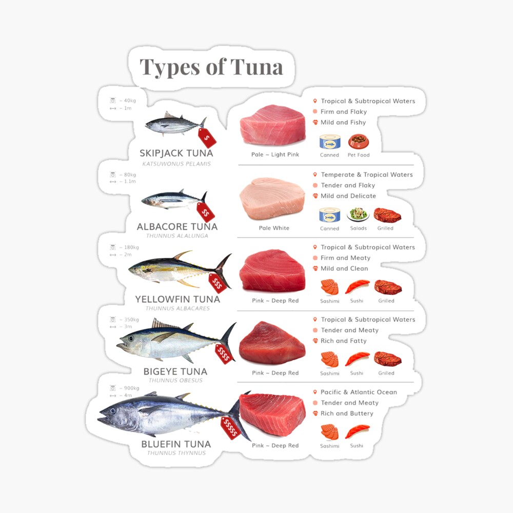 Types of Tuna Greeting Card