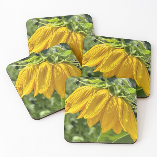 Item preview, Sunflower after a Shower designed and sold by deedlesmcgee.