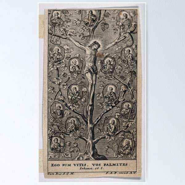 Christ as the vine Poster