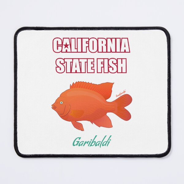 Item preview, California State Saltwater Fish - Garibaldi T-Shirt designed and sold by KaplanCrypto.