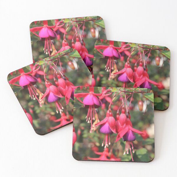 Item preview, Fuschia designed and sold by burbankdesigns.