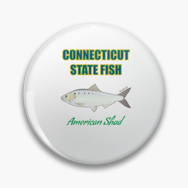 Item preview, Connecticut State Fish - American Shad T-Shirt designed and sold by KaplanCrypto.