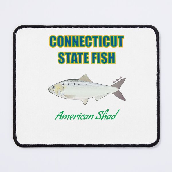 Item preview, Connecticut State Fish - American Shad T-Shirt designed and sold by KaplanCrypto.