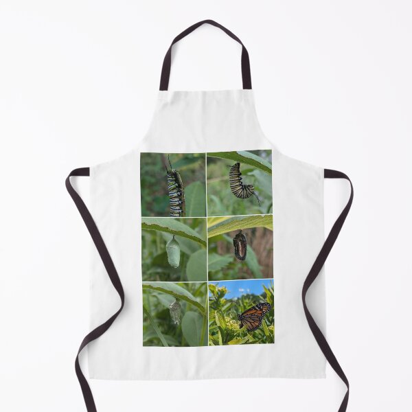 Item preview, Monarch Lifecycle designed and sold by Bug Shots.