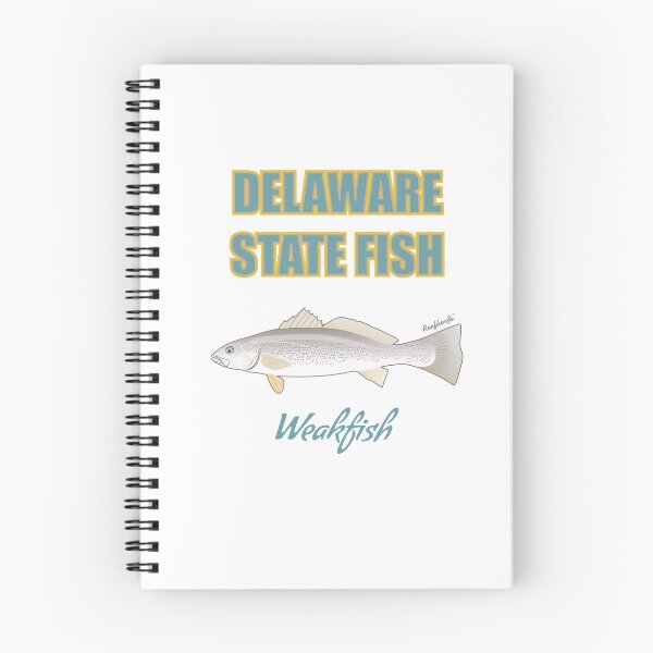 Aperçu de l'œuvre T-shirt de l'État du Delaware - Weakfish créée et vendue par KaplanCrypto.