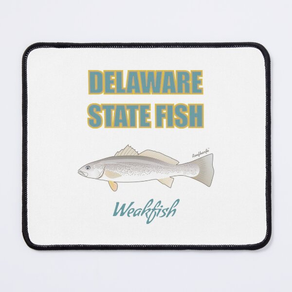 Item preview, Delaware State Fish - Weakfish T-Shirt designed and sold by KaplanCrypto.