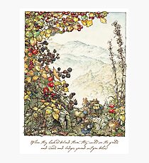 Walk to the High Hills Photographic Print