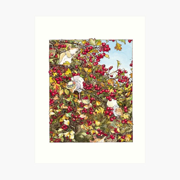 The Blackthorn Bush Art Print