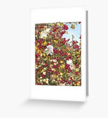 The Blackthorn Bush Greeting Card