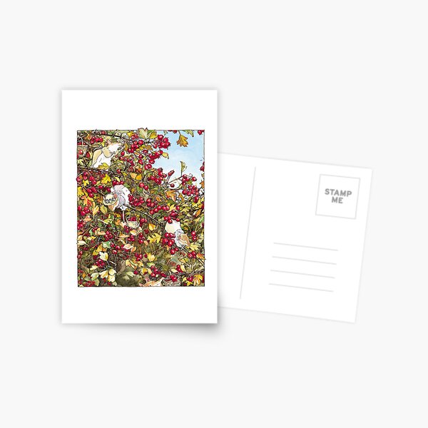 Museums & Galleries - Brambly Hedge Notecard Wallet #NCW450094