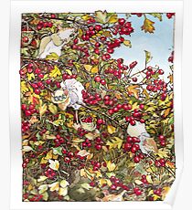 The Blackthorn Bush Poster