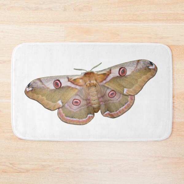 Item preview, Eastern Emperor: Rinaca boisduvalii  designed and sold by Entomologist.