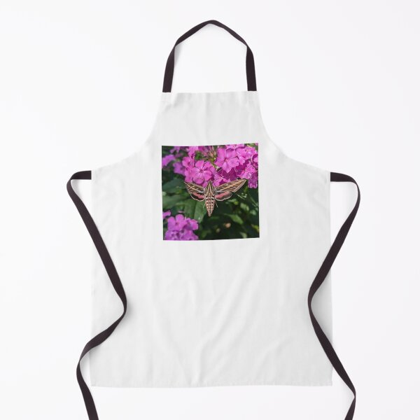 Item preview, White Lined Sphynx Moth designed and sold by Bug Shots.