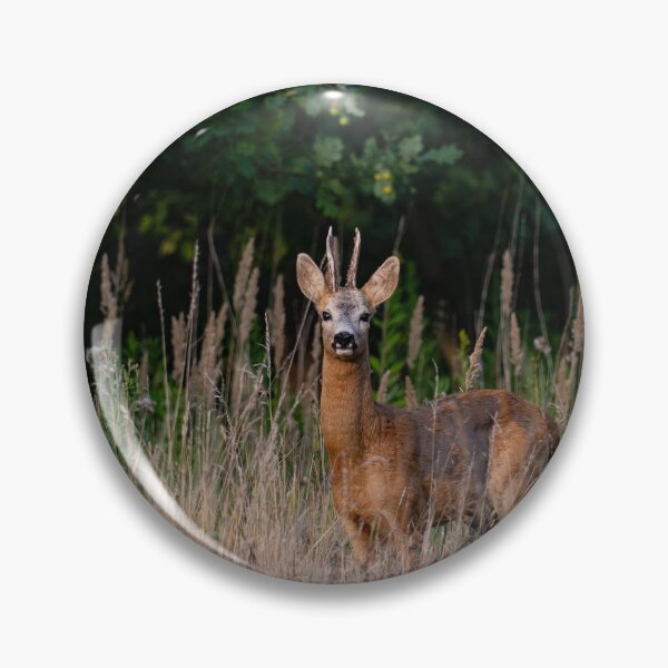 Item preview, Roebuck designed and sold by ART-SUNRISE.