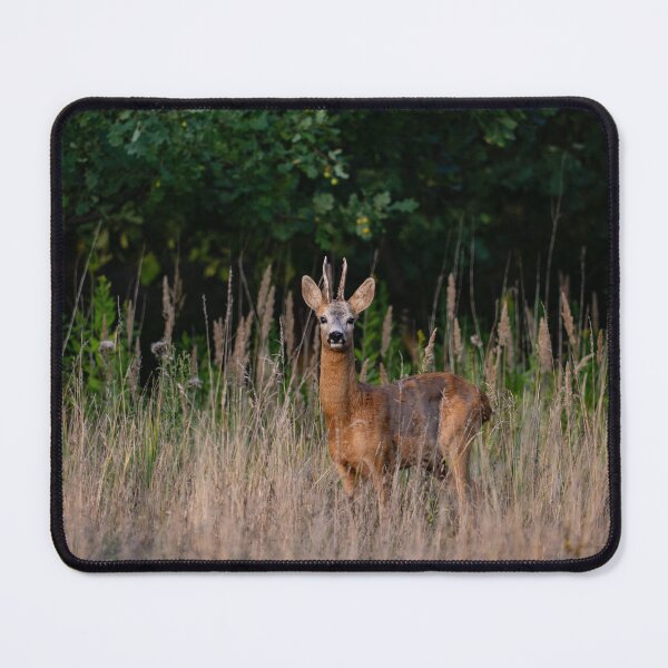 Item preview, Roebuck designed and sold by ART-SUNRISE.