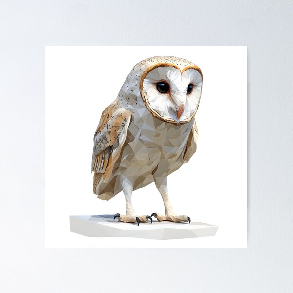 Item preview, lovely barn owl is the most widely distributed species of owl in the world  designed and sold by wonderisland.