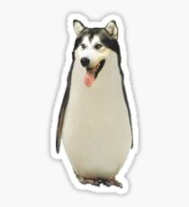 Husky Penguin Sticker