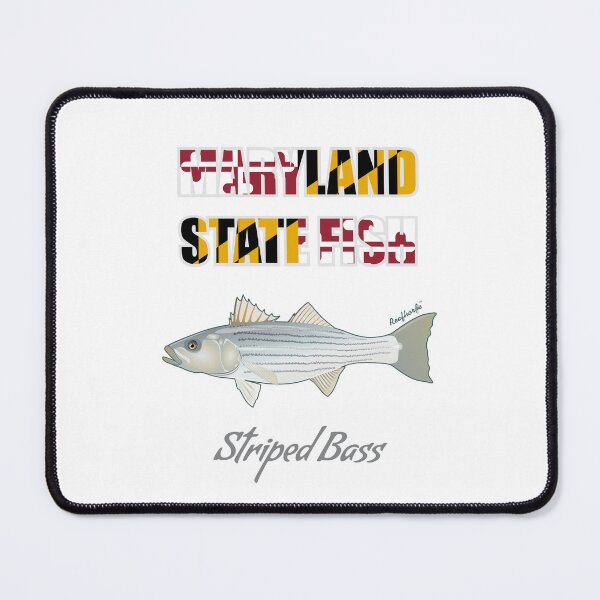 Item preview, Maryland State Fish - Striped Bass T-Shirt designed and sold by KaplanCrypto.
