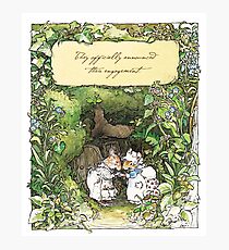 Poppy and Dusty get engaged Photographic Print