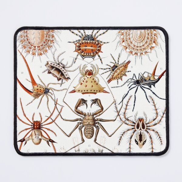 Item preview, Arachnida designed and sold by ncbennett.