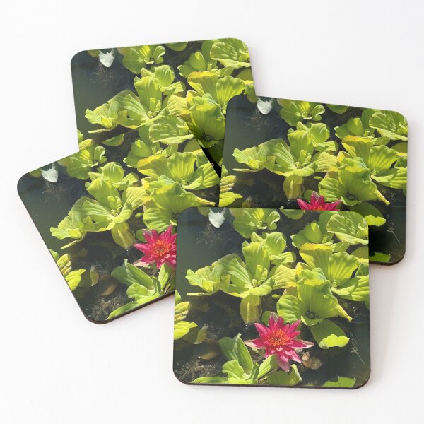 Item preview, Pond blossom  designed and sold by Emendi.