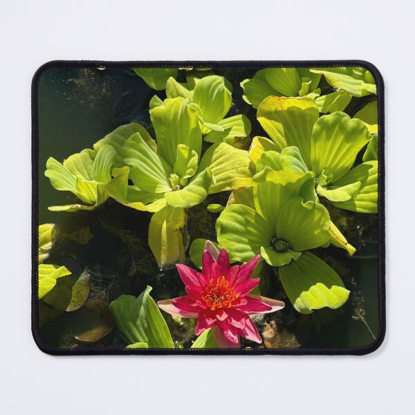 Item preview, Pond blossom  designed and sold by Emendi.