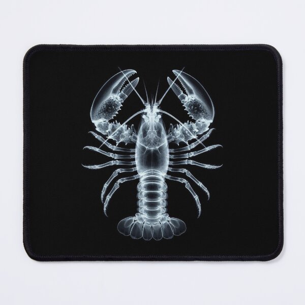Item preview, Lobster's Inner Shell designed and sold by zzz888.