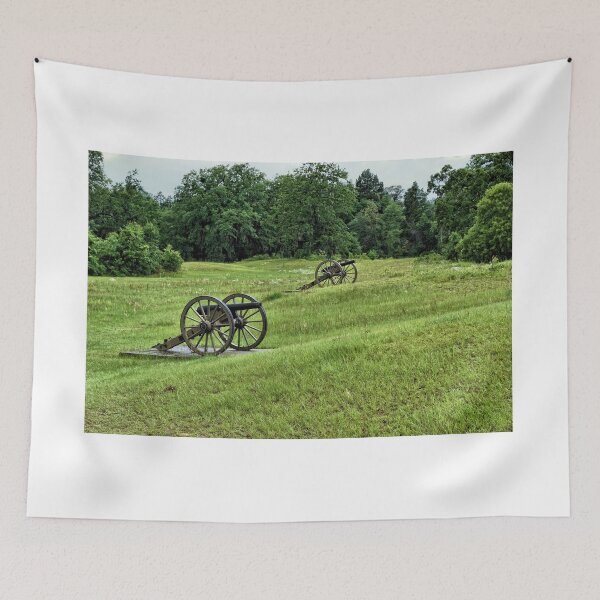 Item preview, Cannons At Ansdersonville National Historic Site designed and sold by jtrommer.