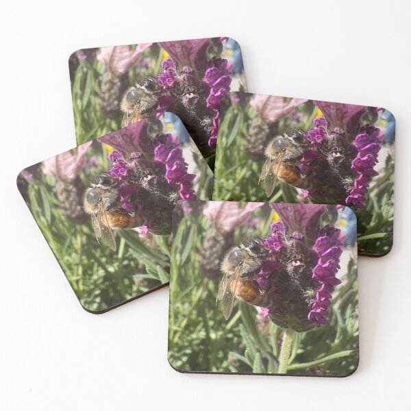 Item preview, Honeybee on French Lavender designed and sold by Betsy Phillips.