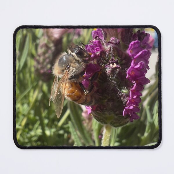 Item preview, Honeybee on French Lavender designed and sold by Betsy Phillips.