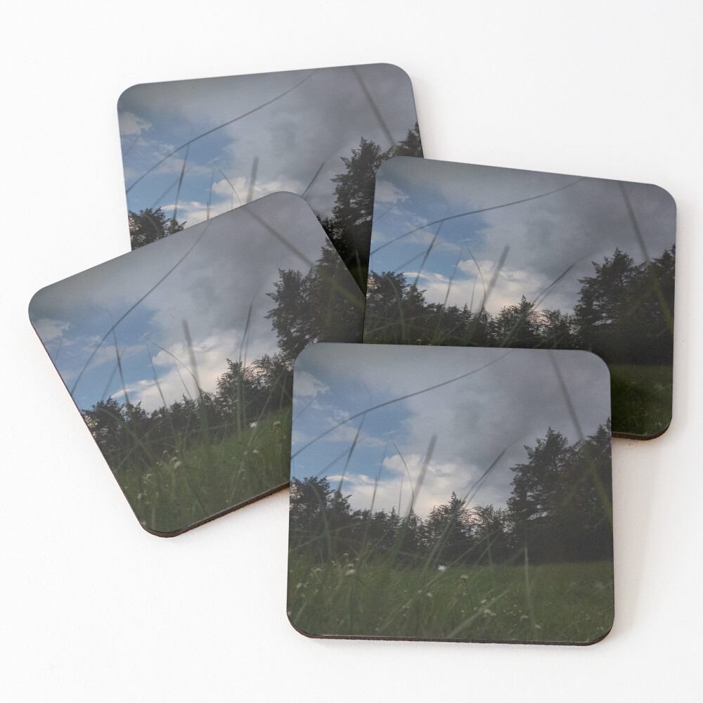 Item preview, Coasters (Set of 4) designed and sold by Rosa2010.