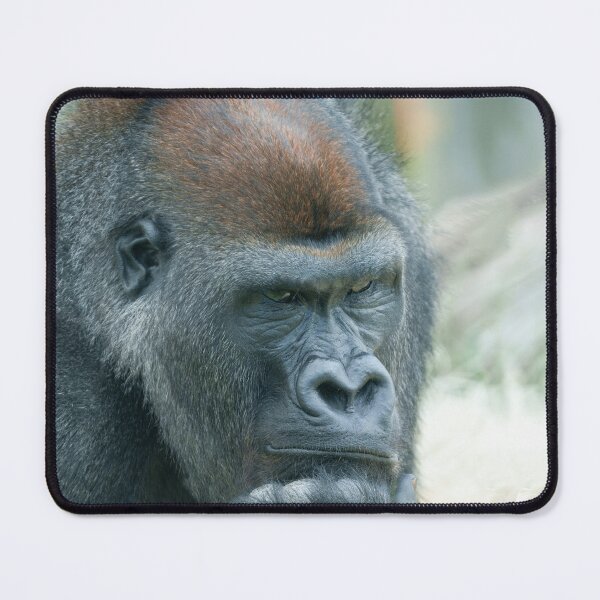 Item preview, Gorilla in Thought designed and sold by rawshutterbug.