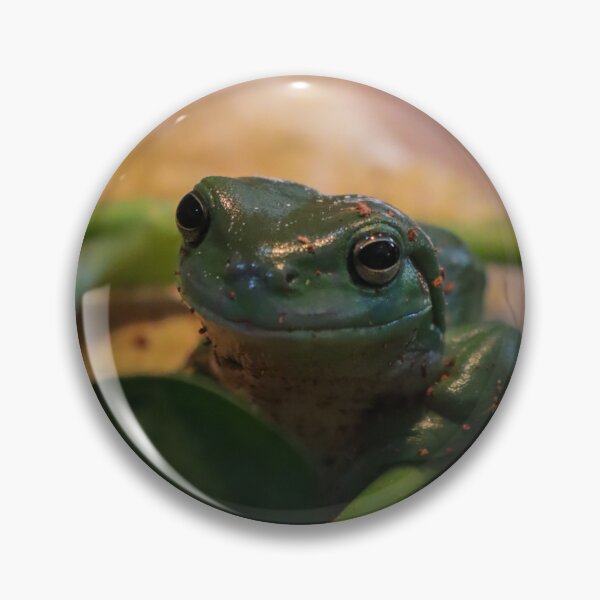 Item preview, Green tree frog designed and sold by FallenTrickster.