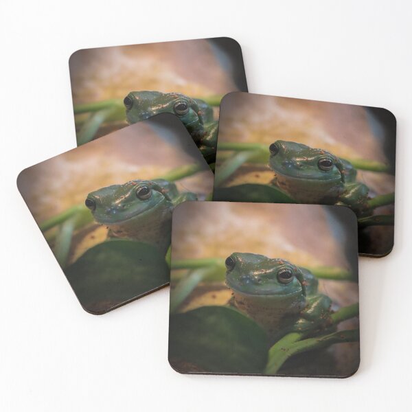 Item preview, Green tree frog designed and sold by FallenTrickster.