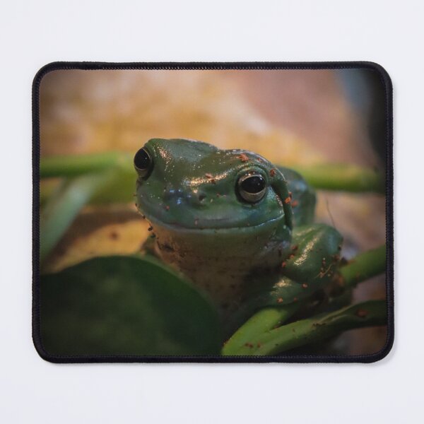 Item preview, Green tree frog designed and sold by FallenTrickster.