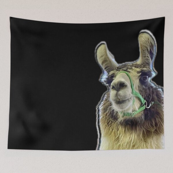 Item preview, Paul the Llama  designed and sold by aadventures.