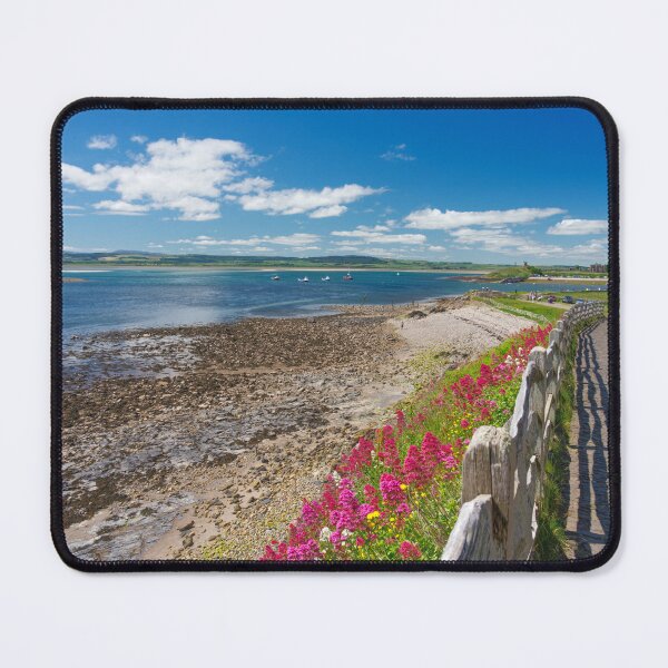 Item preview, Northumberland Coast National Landscape designed and sold by Alisonchambers2.