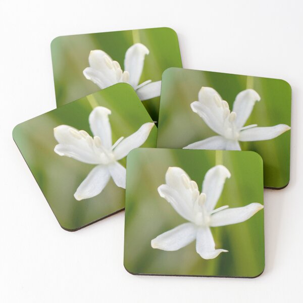 Item preview, Small white flower in the spring garden designed and sold by Fran Cost.