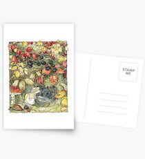 Primrose at the entrance to the tunnels Postcards