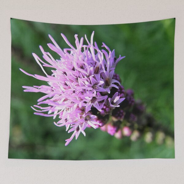 Item preview, Liatris a.k.a Blazing Star / Gayfeather designed and sold by Len Bomba.