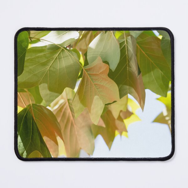 Item preview, Unique Colors and Reflections on a Tulip Tree Foliage designed and sold by Georgia Mizuleva.
