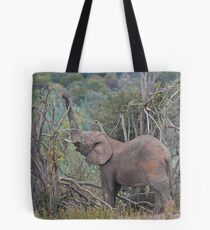 Breaking branches Tote Bag