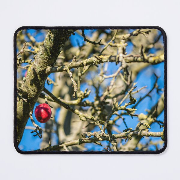 Item preview, Final apple designed and sold by Zolachrome Photography.