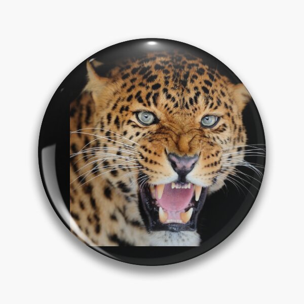 Item preview, BIG ANGRY CATS designed and sold by THE AMERICAN TEEVANGELIST.