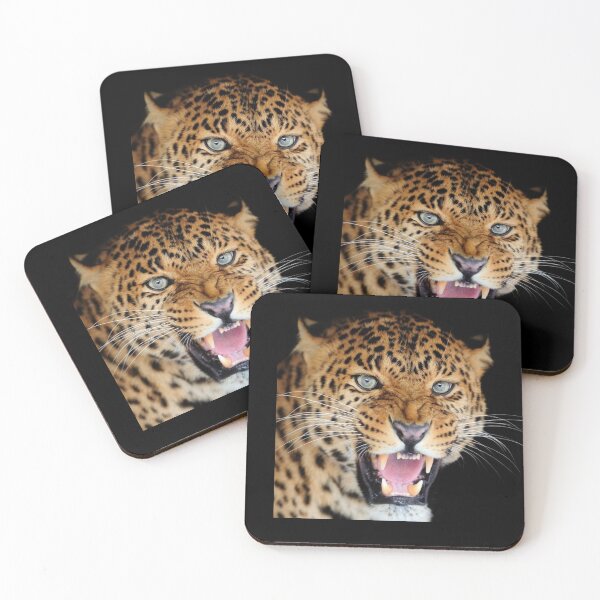 Item preview, BIG ANGRY CATS designed and sold by THE AMERICAN TEEVANGELIST.