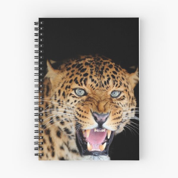 Artikelvorschau, BIG ANGRY CATS entworfen und verkauft von THE AMERICAN TEEVANGELIST.