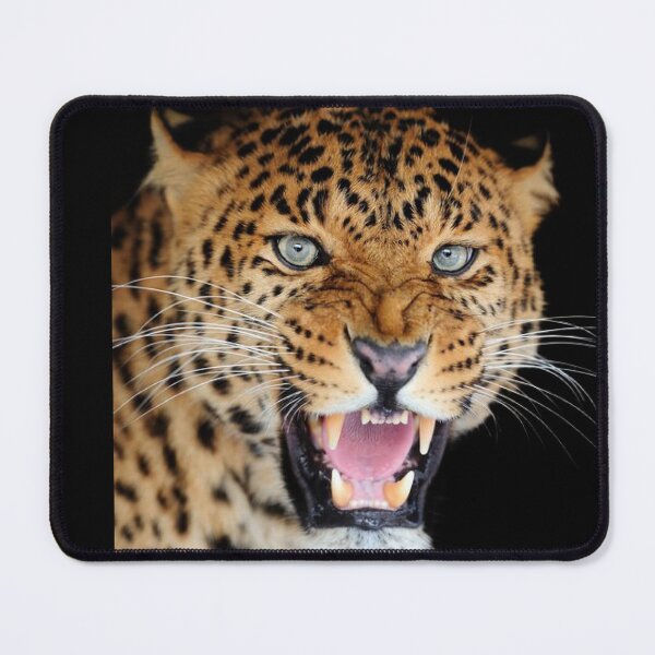 Item preview, BIG ANGRY CATS designed and sold by THE AMERICAN TEEVANGELIST.